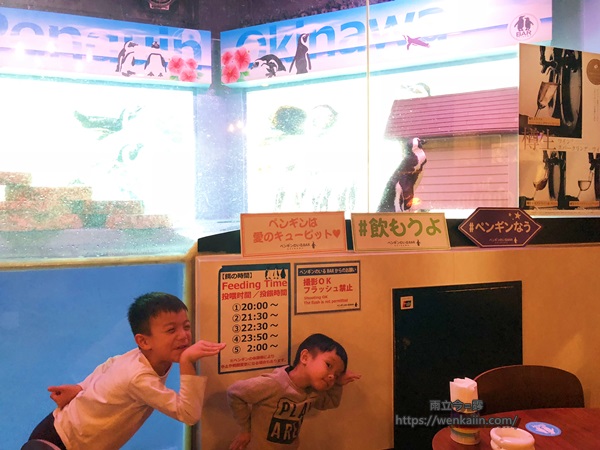 2019沖繩/沖繩親子餐廳：企鵝居酒屋Penguin Bar Fairy，企鵝陪一起吃宵夜，還可以餵企鵝吃魚。 - 2019沖繩 - 雨立今=霠