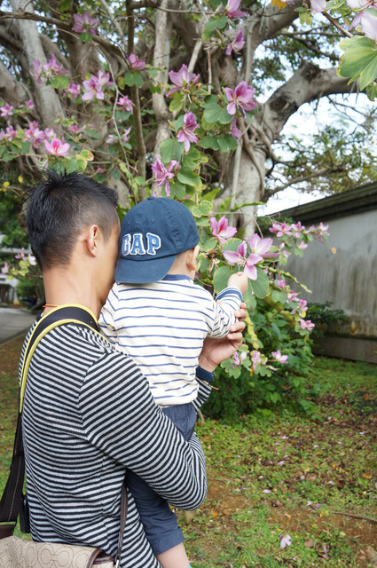 2013年沖繩親子行Day4：福州園，媽寶團大合照不簡單@@。 - 沖繩福州園 - 雨立今=霠