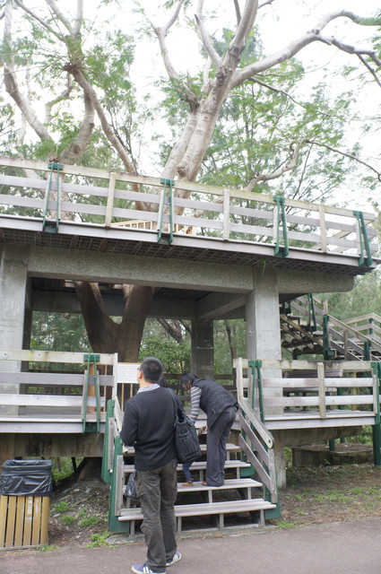 【1Y3M23D】台東森林公園親子遊，擁有超美景的溜孩子天堂。 - 雨立今=霠