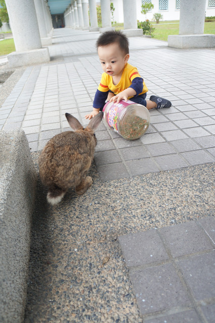 【1Y1M】邱言言 vs. 兔寶寶，第一次親蜜接觸。 - 雨立今=霠