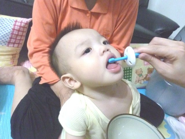 乳牙清潔 × 邱言言，第一時期（6個月～1歲）。 - 雨立今=霠