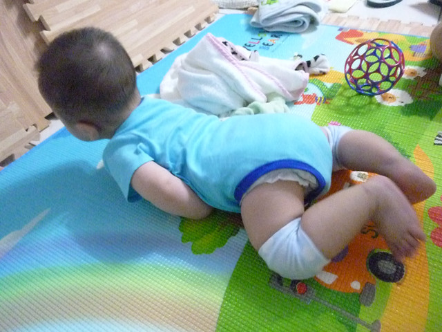 【7M】：嬰兒學爬，Thudguard防撞帽+護膝，保護我的邱言言 - 雨立今=霠