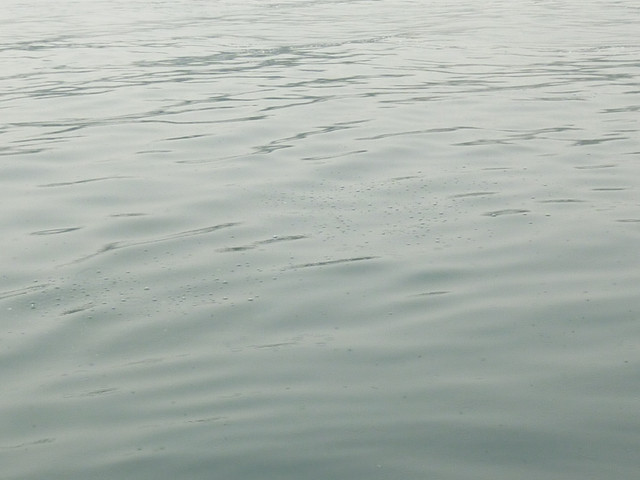 2010.10義大利蜜月Day4：又冷又美的西米歐尼湖區 - 加達湖, 義大利 加達湖, 義大利 最大湖, 西米歐尼湖 - 雨立今=霠