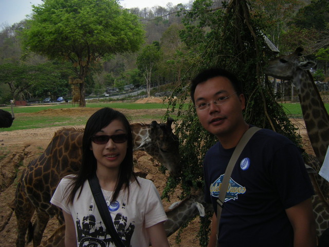 2009.3.14．Day4泰國pattaya：綠山動物園 - 雨立今=霠