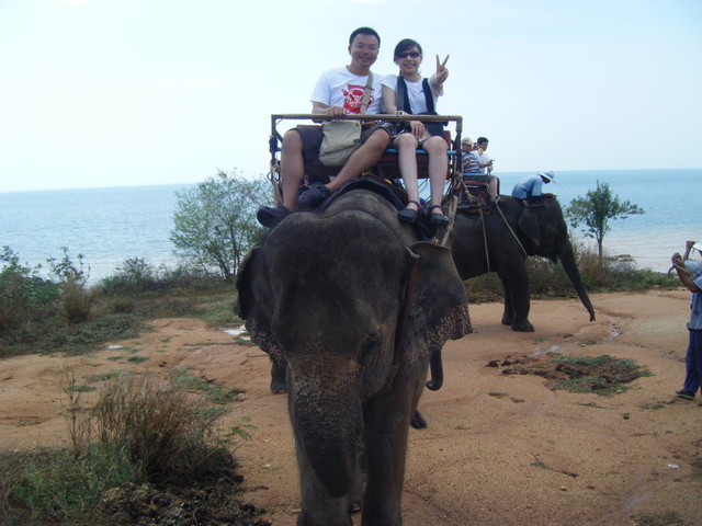 2009.3.13．Day3泰國pattaya：Thai Sea View象棧叢林海岸騎大象 - 雨立今=霠