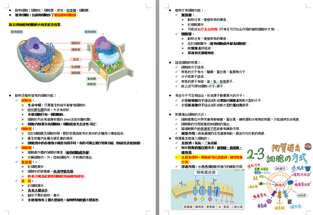 七年級生物筆記：科學方法＋生命的特性（生命現象/細胞/顯微鏡/細胞所需的物質/從細胞到個體）＋世界的各種大小樣貌 - 七年級生物重點, 世界的各種大小樣貌, 國中生物, 國中生物重點整理, 從細胞到個體, 生命現象, 生命的特性, 生物筆記, 科學方法, 細胞, 細胞所需的物質, 顯微鏡 - 雨立今=霠