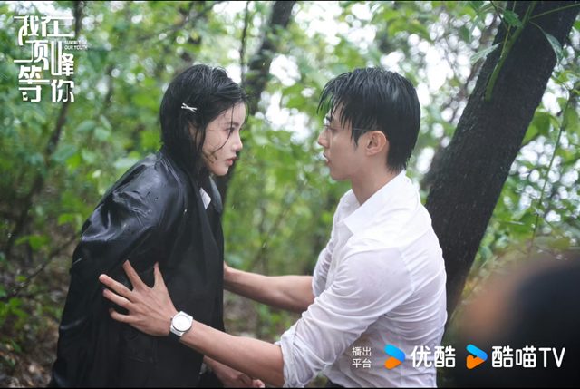 《我在頂峰等你》演員