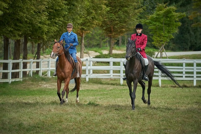 《愛麻夫人熱映中》評價