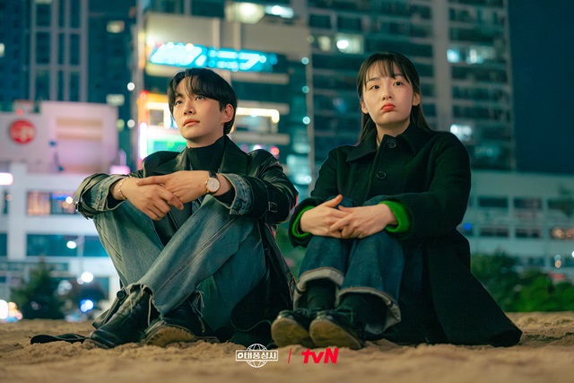 颱風商社線上看