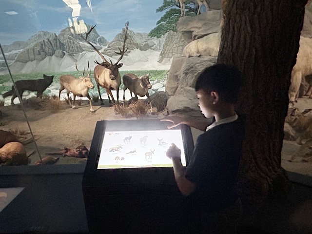 台南室內景點/台南行程:奇美博物館,展覽豐富有趣,可以逛上整日的好地方!台南親子景點推薦,台南雨天備案。 - 台南, 台南仁德景點, 台南博物館, 台南好玩, 台南室內景點, 台南必去, 台南必暑景點, 台南必逛, 台南推薦景點, 台南景點, 台南行程, 台南親子室內景點, 台南親子景點, 台南親子行程, 台南雨天景點, 奇美博物館, 奇美博物館dacrd, 奇美博物館ptt, 奇美博物館一日遊, 奇美博物館交通, 奇美博物館休館, 奇美博物館兵器, 奇美博物館動物, 奇美博物館展館介紹, 奇美博物館展館推薦, 奇美博物館常設展, 奇美博物館必看, 奇美博物館必逛, 奇美博物館推薦, 奇美博物館樂器, 奇美博物館營業, 奇美博物館紀念品, 奇美博物館親子, 奇美博物館適合小朋友嗎, 奇美博物館門票, 奇美博物館開館時間, 奇美博物館館藏, 臺灣博物館推薦 - 雨立今=霠