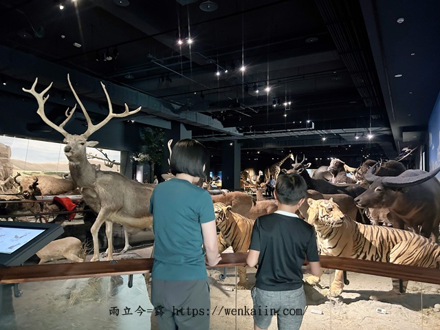 台南室內景點/台南行程:奇美博物館,展覽豐富有趣,可以逛上整日的好地方!台南親子景點推薦,台南雨天備案。 - 台南, 台南仁德景點, 台南博物館, 台南好玩, 台南室內景點, 台南必去, 台南必暑景點, 台南必逛, 台南推薦景點, 台南景點, 台南行程, 台南親子室內景點, 台南親子景點, 台南親子行程, 台南雨天景點, 奇美博物館, 奇美博物館dacrd, 奇美博物館ptt, 奇美博物館一日遊, 奇美博物館交通, 奇美博物館休館, 奇美博物館兵器, 奇美博物館動物, 奇美博物館展館介紹, 奇美博物館展館推薦, 奇美博物館常設展, 奇美博物館必看, 奇美博物館必逛, 奇美博物館推薦, 奇美博物館樂器, 奇美博物館營業, 奇美博物館紀念品, 奇美博物館親子, 奇美博物館適合小朋友嗎, 奇美博物館門票, 奇美博物館開館時間, 奇美博物館館藏, 臺灣博物館推薦 - 雨立今=霠