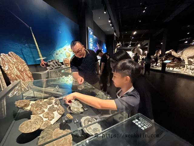 台南室內景點/台南行程:奇美博物館,展覽豐富有趣,可以逛上整日的好地方!台南親子景點推薦,台南雨天備案。 - 台南, 台南仁德景點, 台南博物館, 台南好玩, 台南室內景點, 台南必去, 台南必暑景點, 台南必逛, 台南推薦景點, 台南景點, 台南行程, 台南親子室內景點, 台南親子景點, 台南親子行程, 台南雨天景點, 奇美博物館, 奇美博物館dacrd, 奇美博物館ptt, 奇美博物館一日遊, 奇美博物館交通, 奇美博物館休館, 奇美博物館兵器, 奇美博物館動物, 奇美博物館展館介紹, 奇美博物館展館推薦, 奇美博物館常設展, 奇美博物館必看, 奇美博物館必逛, 奇美博物館推薦, 奇美博物館樂器, 奇美博物館營業, 奇美博物館紀念品, 奇美博物館親子, 奇美博物館適合小朋友嗎, 奇美博物館門票, 奇美博物館開館時間, 奇美博物館館藏, 臺灣博物館推薦 - 雨立今=霠