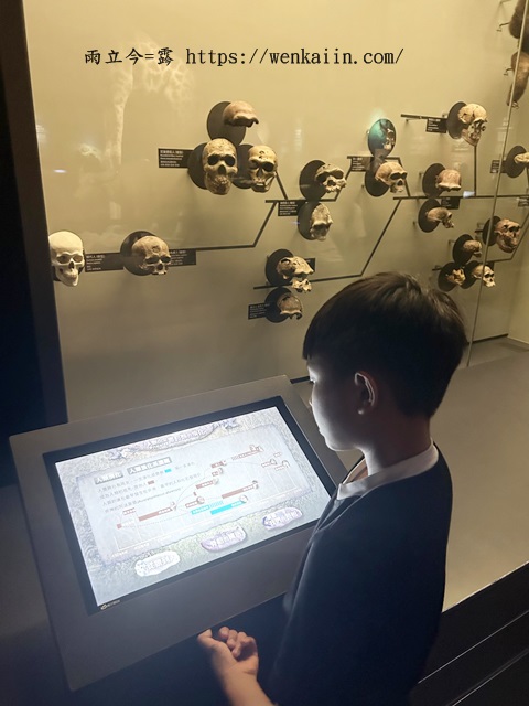 奇美博物館展覽